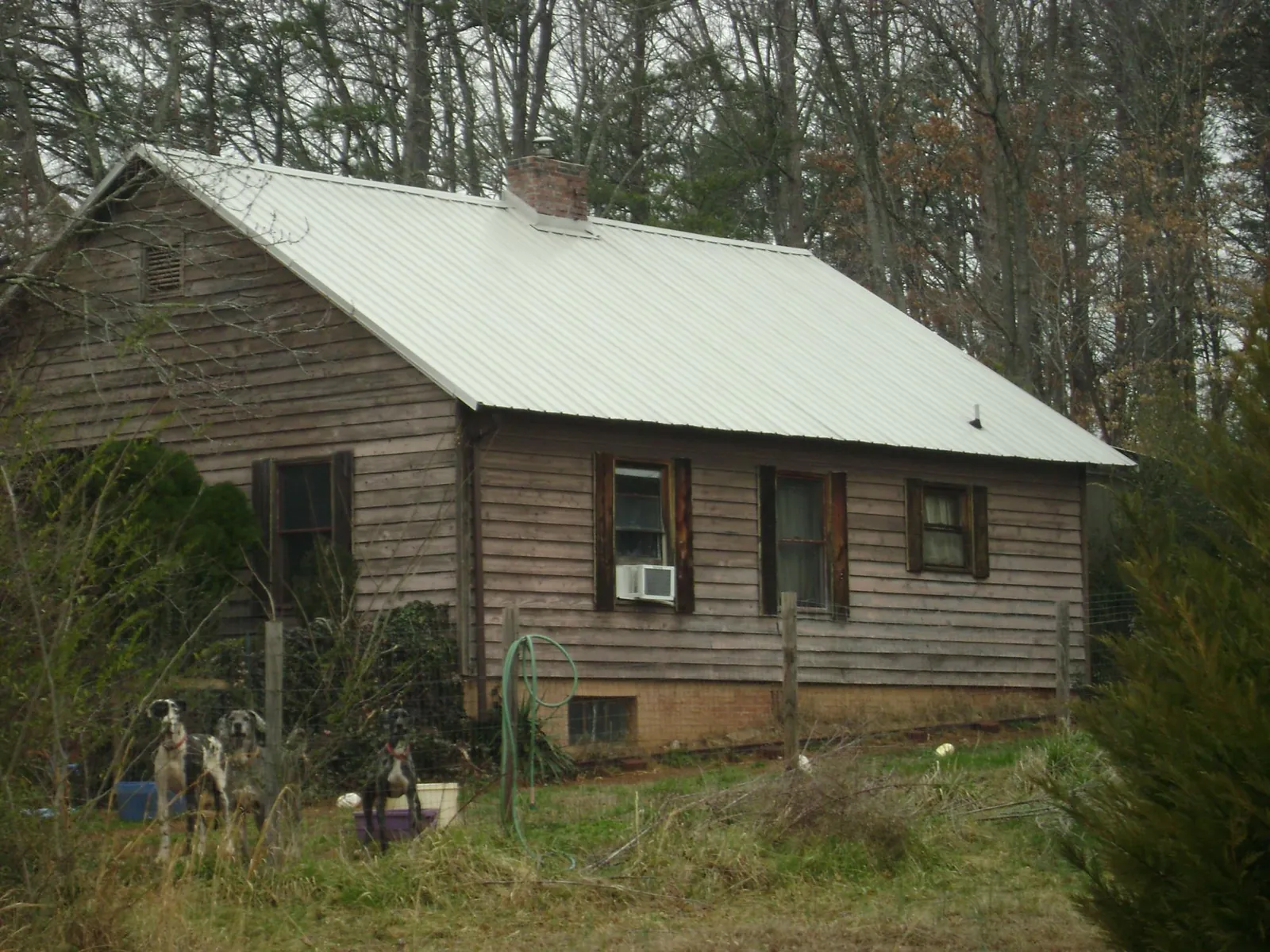 White metal roof on an old wood sided farmhouse, from a Metal Roof Installation job in Bear River City